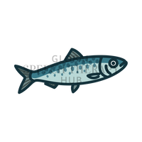 Sardine
